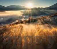 91麻豆经济-解读91麻豆经济的绚丽篇章，从微观到宏观的深度透视