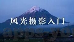 91蜜桃麻豆-探索数字背后的秘密，91与理解亚文化的交汇点