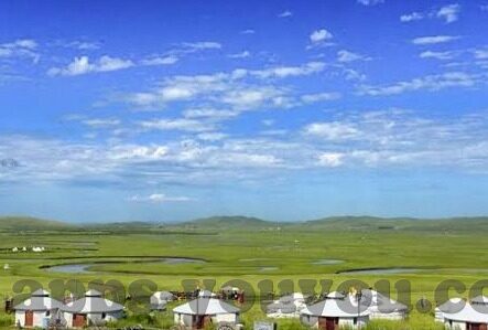 糖心app免费入口-揭秘糖心app的奇妙之旅，免费入口的真相与探索