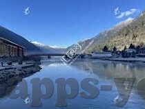糖心直播app下载-揭秘糖心直播APP，了解它的魅力与风险