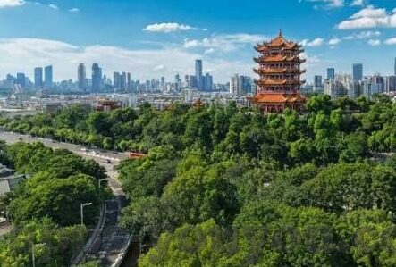 忘忧草社区中文字幕-忘忧草社区，中文字幕的温暖港湾