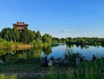 亚洲,日韩,欧美av-亚洲、日韩与欧美AV，文化差异与市场动态的交织